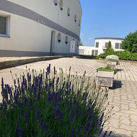 Nautilus Etterem Es Panzio Hotel Dabas ภายนอก รูปภาพ