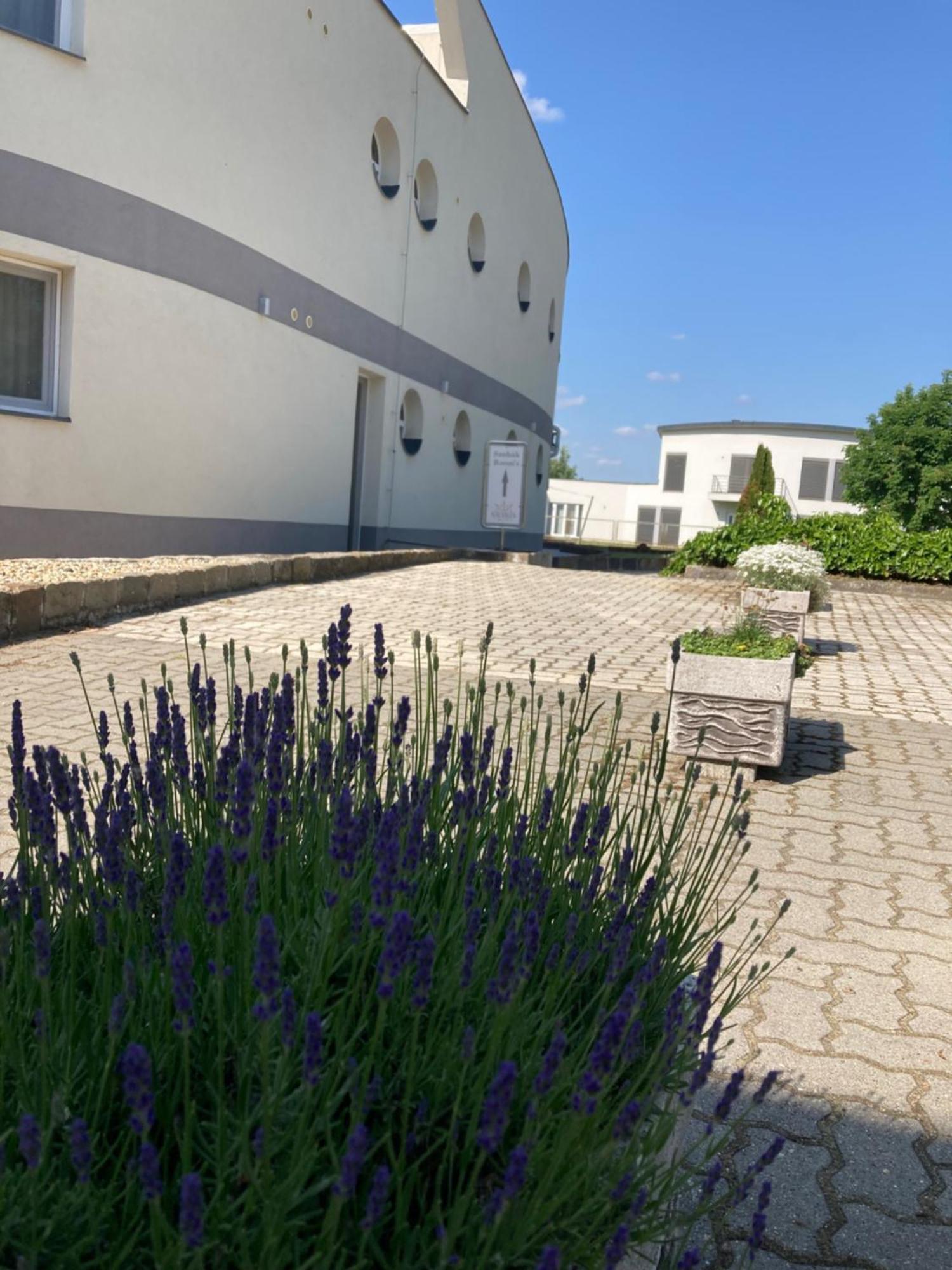 Nautilus Etterem Es Panzio Hotel Dabas ภายนอก รูปภาพ